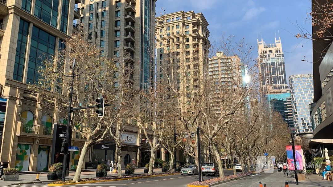 豪宅中介的一年:在单价屡破30万元/平的区域卖房是一种什么体验?